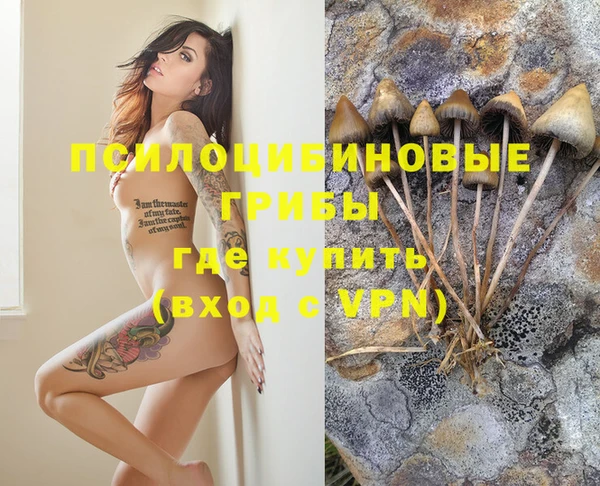 ECSTASY Балабаново